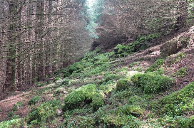 And this wasn't the path either!